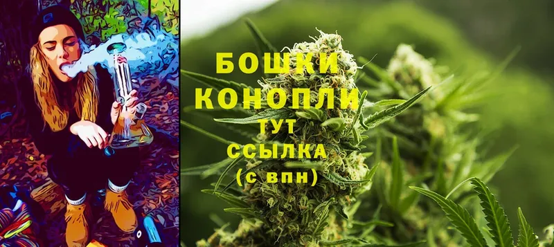 Бошки марихуана SATIVA & INDICA  купить наркотики сайты  blacksprut как зайти  сайты даркнета официальный сайт  Канск 